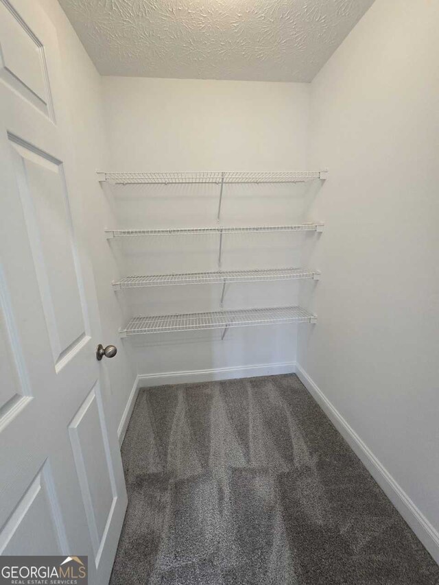 spacious closet featuring carpet floors