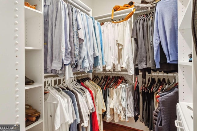 spacious closet with hardwood / wood-style flooring