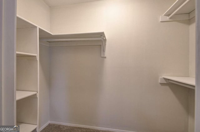 spacious closet with carpet