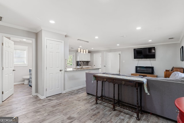 living room featuring light hardwood / wood-style floors and ornamental molding