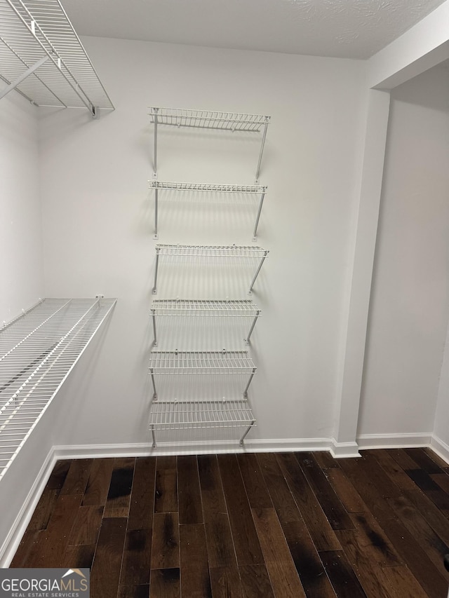 walk in closet with wood-type flooring