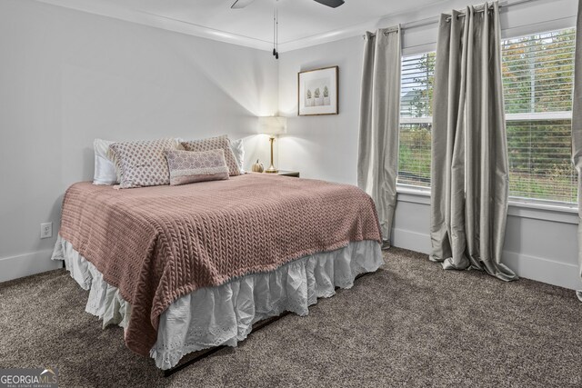 265 Federal St, Athens, GA 30607 - carpeted bedroom featuring ceiling fan