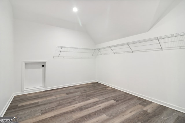 spacious closet featuring dark wood-type flooring