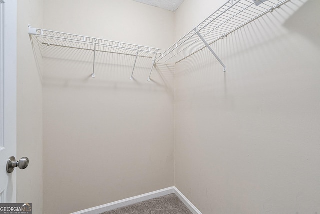 spacious closet with carpet floors