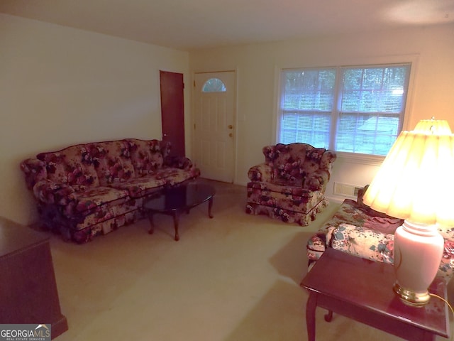 living room with carpet floors