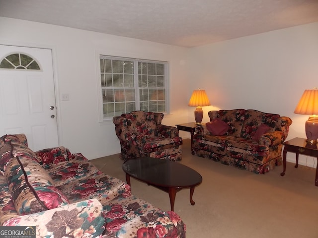 living room featuring light carpet