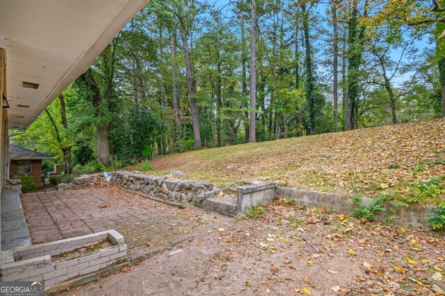 2910 Delowe Dr, Atlanta, GA 30344 - view of yard with a patio