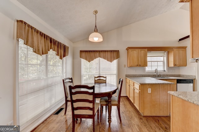 kitchen featuring stainless steel dishwasher, lofted ceiling, decorative light fixtures, and light hardwood / wood-style flooring