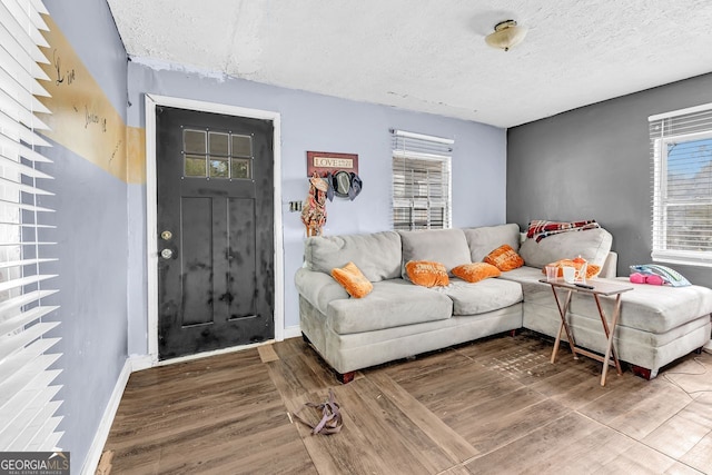 living room featuring wood-type flooring and a textured ceiling