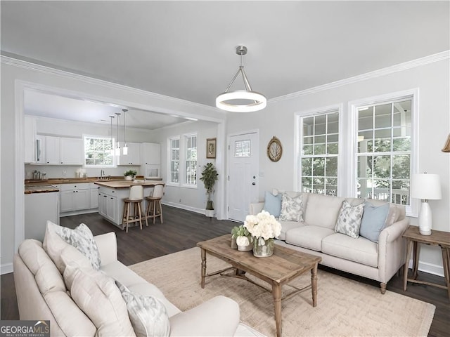 living room featuring ornamental molding, sink, and dark hardwood / wood-style floors