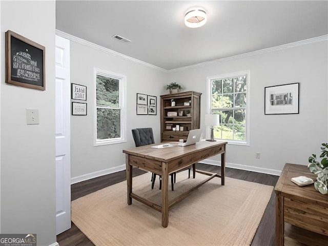 home office featuring dark hardwood / wood-style flooring and crown molding