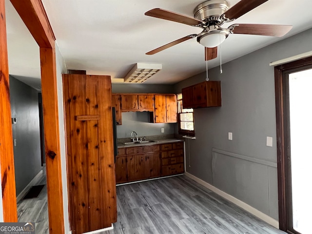 kitchen featuring hardwood / wood-style floors, sink, and ceiling fan