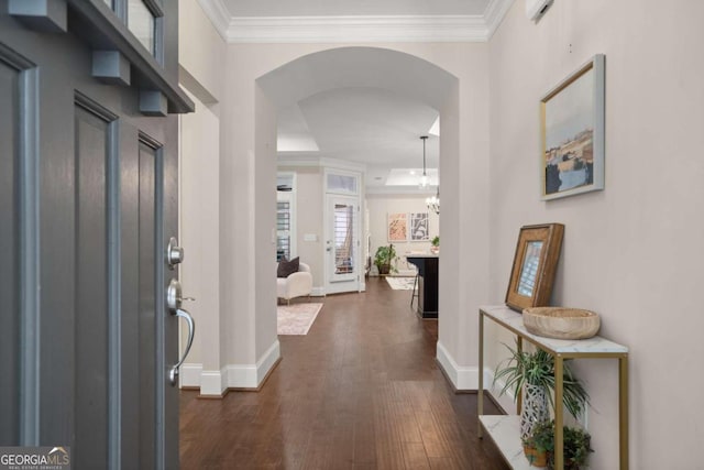 foyer entrance featuring crown molding, dark wood-type flooring, and an inviting chandelier