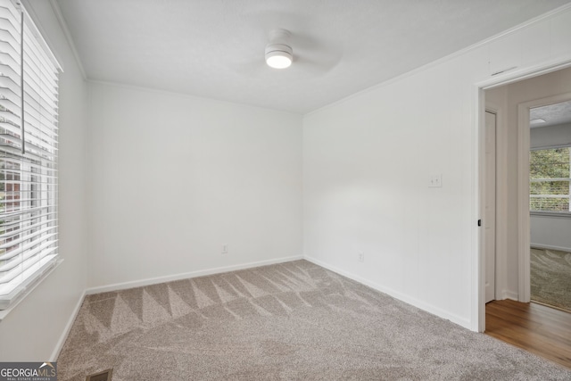 unfurnished room featuring ornamental molding and carpet