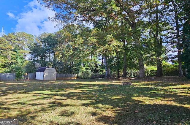 view of yard featuring a storage shed