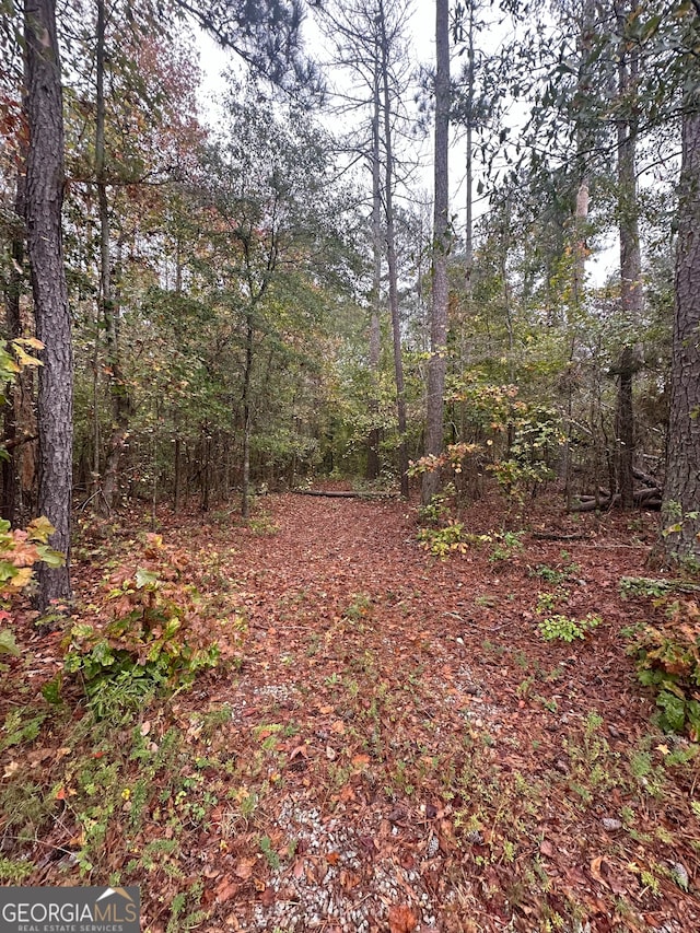 Listing photo 3 for 0 S Bethany, Locust Grove GA 30248