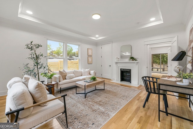 living room with a tray ceiling and light hardwood / wood-style floors