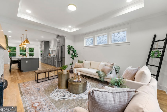 living room featuring a healthy amount of sunlight, light hardwood / wood-style flooring, and a tray ceiling