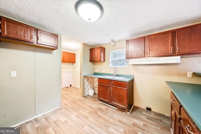 kitchen with a textured ceiling, light hardwood / wood-style floors, and sink