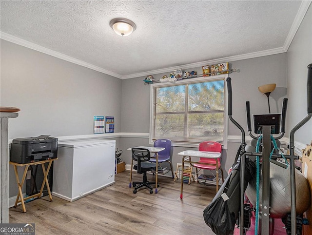 office area featuring light hardwood / wood-style floors, a textured ceiling, and crown molding