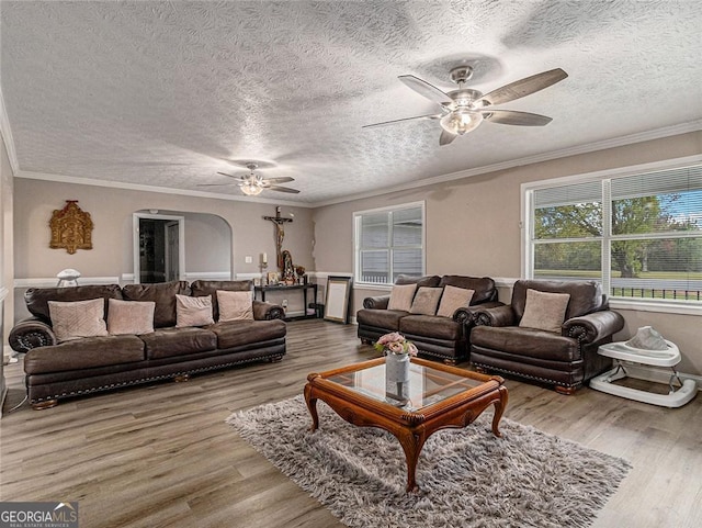 living room featuring wood-type flooring, ornamental molding, and a textured ceiling