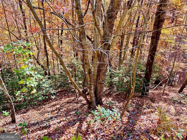 13 Up The Ridge Rd, Blairsville GA, 30512 land for sale