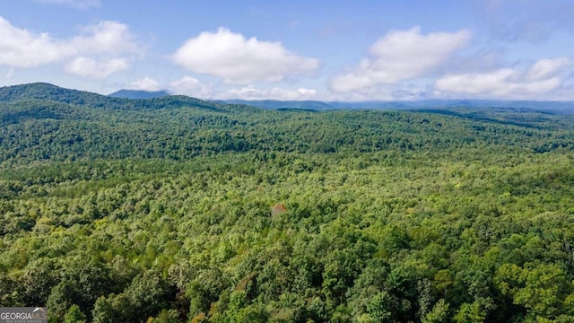 drone / aerial view featuring a mountain view