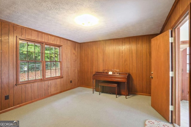 miscellaneous room with wood walls, light colored carpet, and a textured ceiling