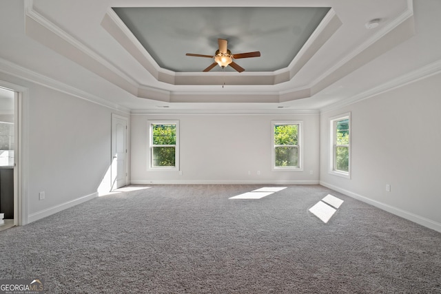 spare room with carpet floors, a tray ceiling, ceiling fan, and ornamental molding