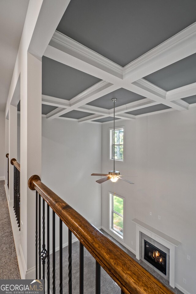 corridor with carpet flooring, beam ceiling, and coffered ceiling