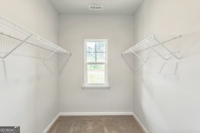 spacious closet with carpet flooring