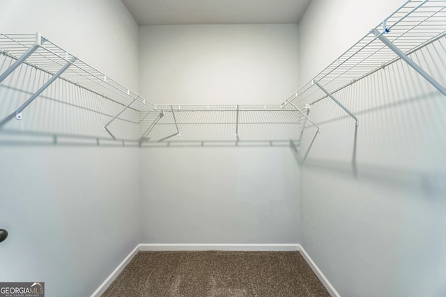 walk in closet featuring carpet flooring