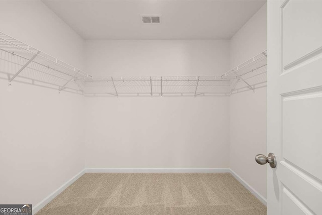 walk in closet featuring carpet flooring