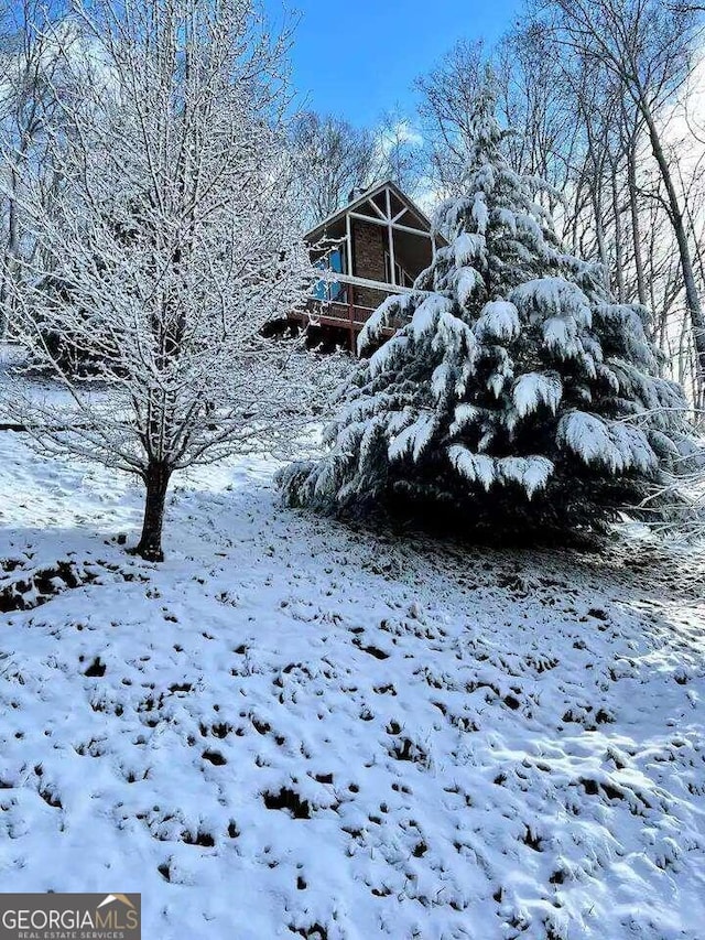 view of snowy yard