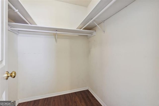 spacious closet featuring dark hardwood / wood-style floors