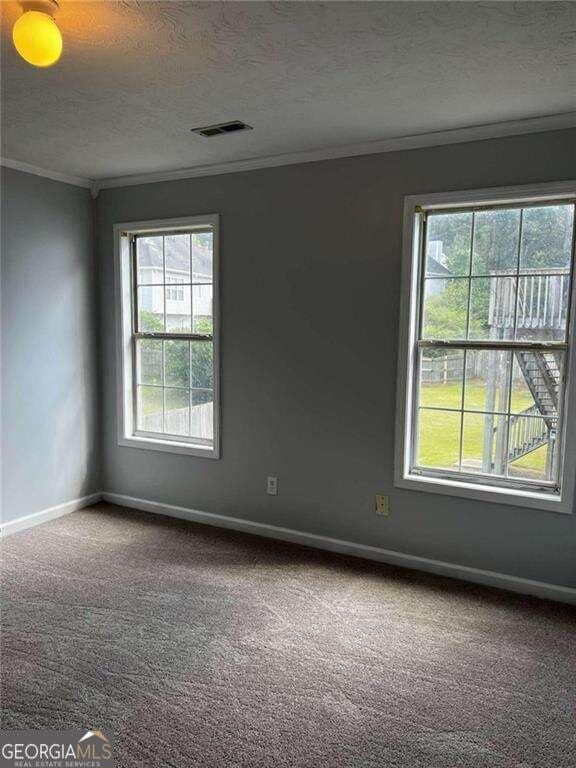 empty room with carpet, a textured ceiling, and plenty of natural light