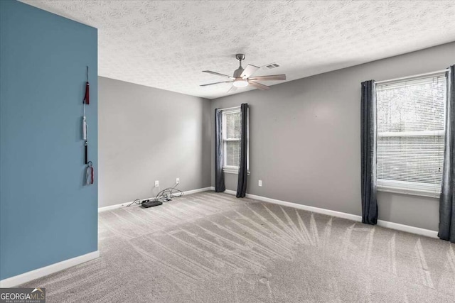 spare room with plenty of natural light, carpet flooring, and a textured ceiling