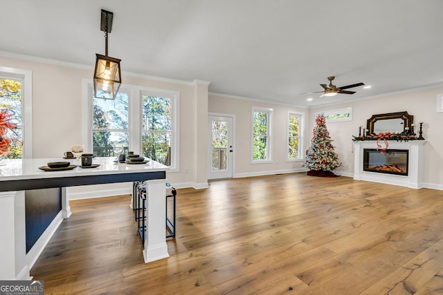 interior space with ceiling fan, plenty of natural light, crown molding, and hardwood / wood-style flooring