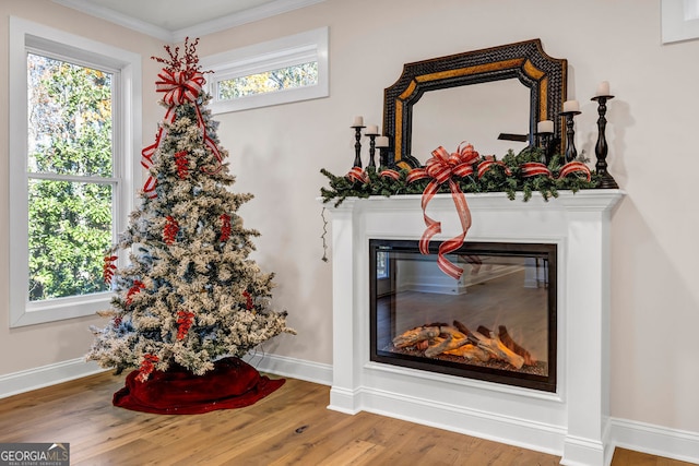 room details featuring ornamental molding and hardwood / wood-style flooring