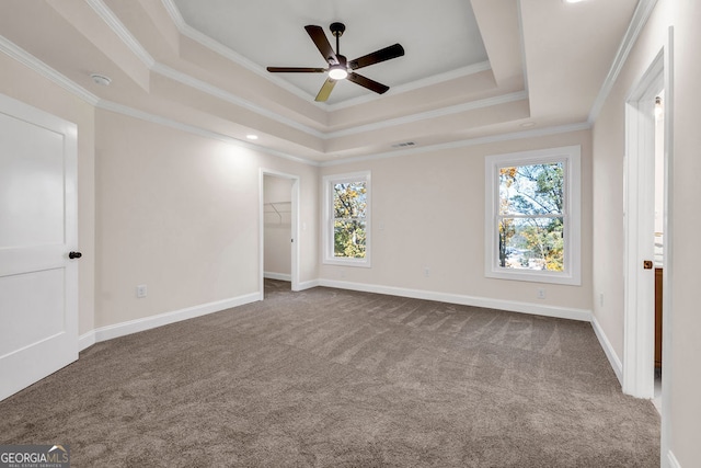 unfurnished room with crown molding and a tray ceiling