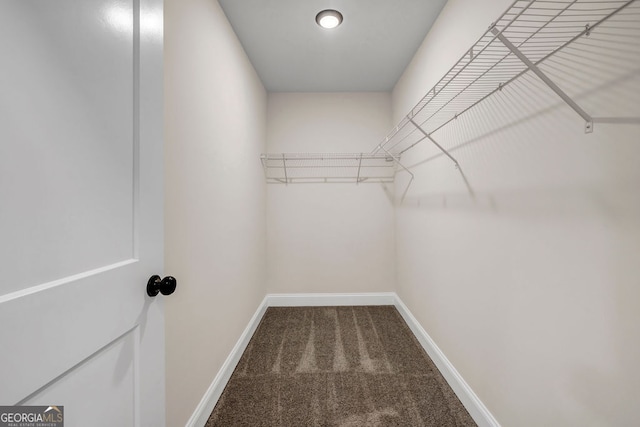 spacious closet featuring carpet floors