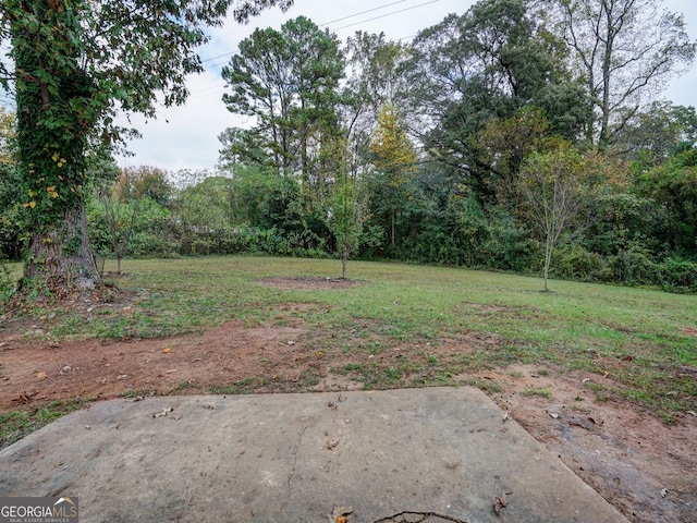 view of yard featuring a patio