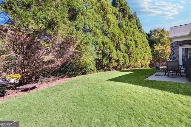 view of yard featuring a patio area