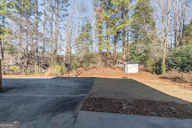 view of yard featuring a storage unit