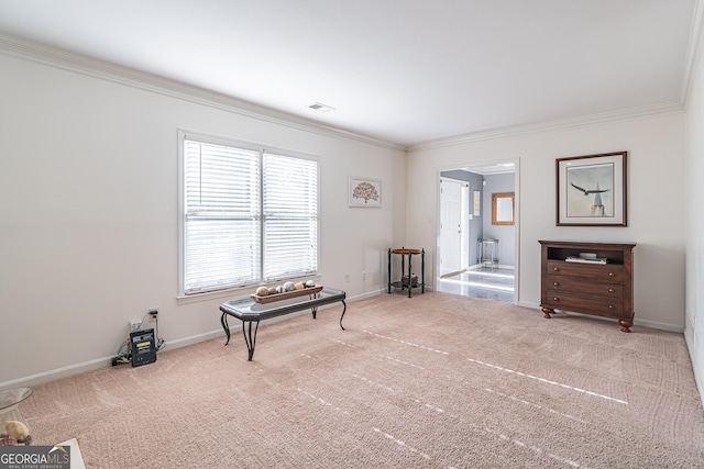 miscellaneous room featuring ornamental molding and carpet