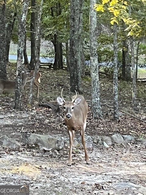 view of nature