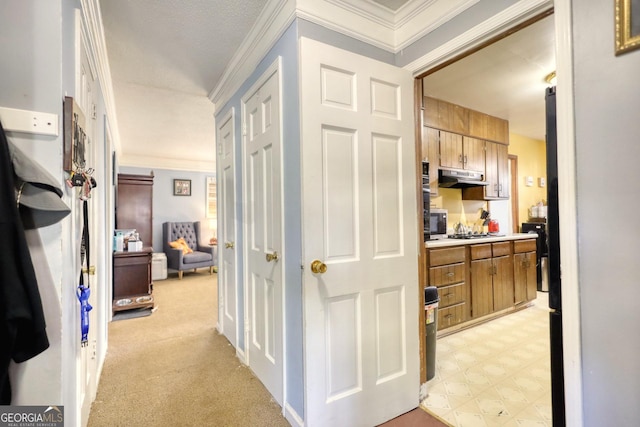 hall featuring light carpet and ornamental molding