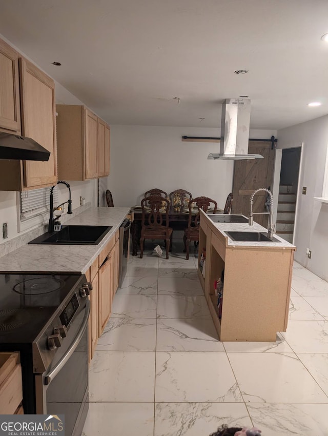 kitchen with appliances with stainless steel finishes, light brown cabinetry, ventilation hood, sink, and a barn door