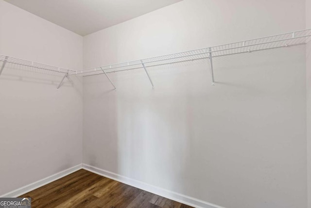 walk in closet featuring dark hardwood / wood-style flooring