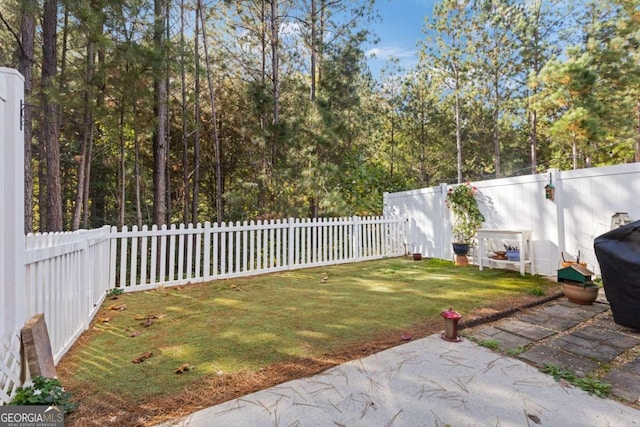 view of yard featuring a patio